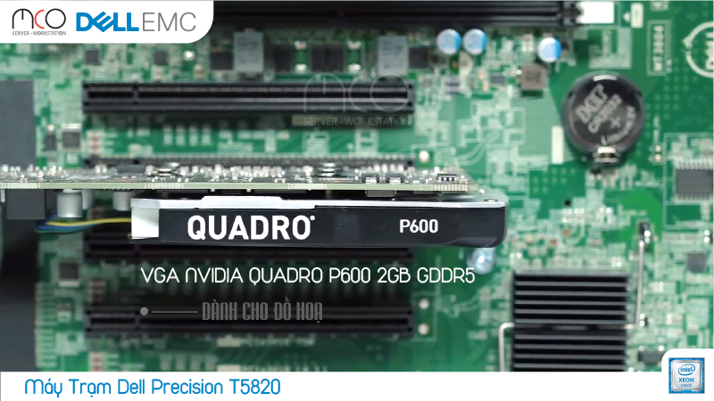 card màn hình MD Radeon Pro ™ và đồ họa NVIDIA Quadro® P600 hiệu suất cao nhất